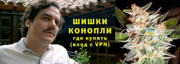 2c-b Пересвет