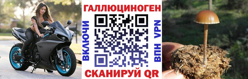 Галлюциногенные грибы мухоморы  Купить закладки  Кяхта 